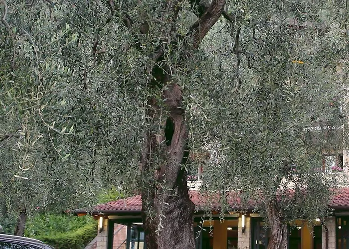 Veronesi 호텔