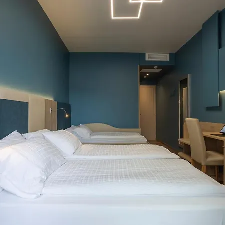 Hotel Veronesi 3*
