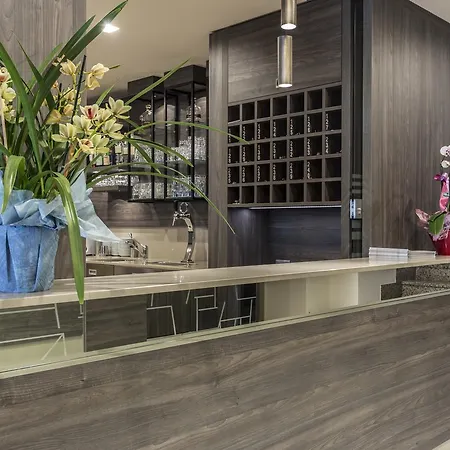 Veronesi Hotel Brenzone sul Garda