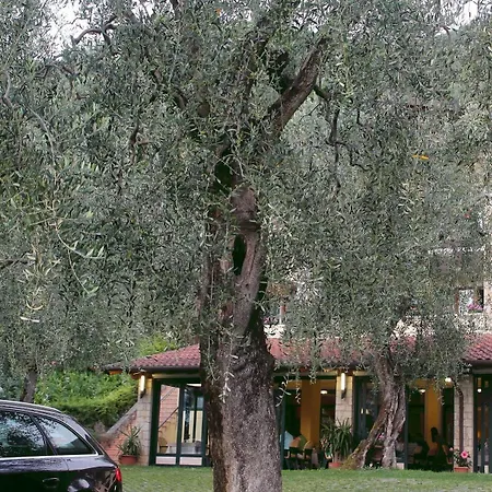 Veronesi Hotel